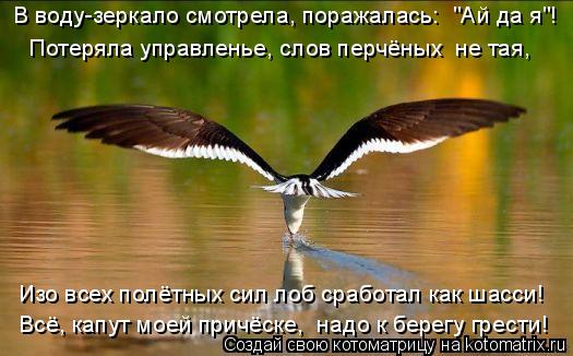 В воду-зеркало смотрела, поражалась: "Ай да я"! Потеряла управленье, слов перчёных не тая, Изо всех... Котоматрица: В воду-зеркало смотрела, поражалась: "Ай да я"! Потеряла управленье, слов перчёных не тая, Изо всех полётных сил лоб сработал как шасси! Всё,