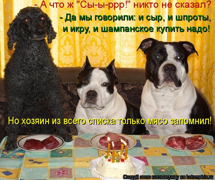 - А что ж "Сы-ы-ррр!" никто не сказал? - Да мы говорили: и сыр, и шпроты, и икру, и шампанское купить... Котоматрица: - А что ж "Сы-ы-ррр!" никто не сказал? - Да мы говорили: и сыр, и шпроты, и икру, и шампанское купить надо! Но хозяин из всего списка только мясо за