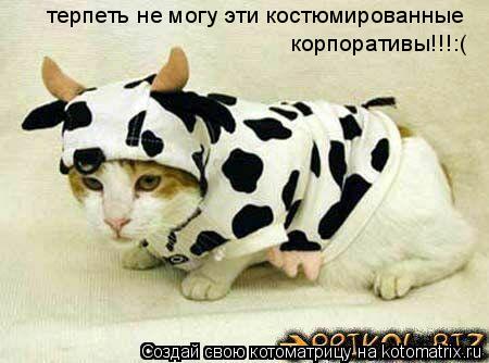 терпеть не могу эти костюмированные корпоративы!!!:(... Котоматрица: терпеть не могу эти костюмированные корпоративы!!!:(