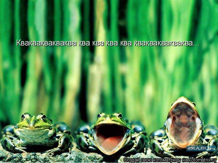 Квакваквакваква ква ква ква ква квакваквакваква...... Котоматрица: Квакваквакваква ква ква ква ква квакваквакваква...