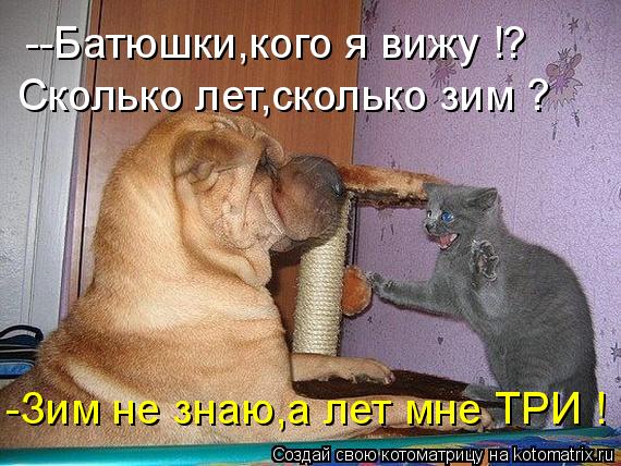 --Батюшки,кого я вижу !? Сколько лет,сколько зим ? -Зим не знаю,а лет мне ТРИ !... Котоматрица: --Батюшки,кого я вижу !? Сколько лет,сколько зим ? -Зим не знаю,а лет мне ТРИ !
