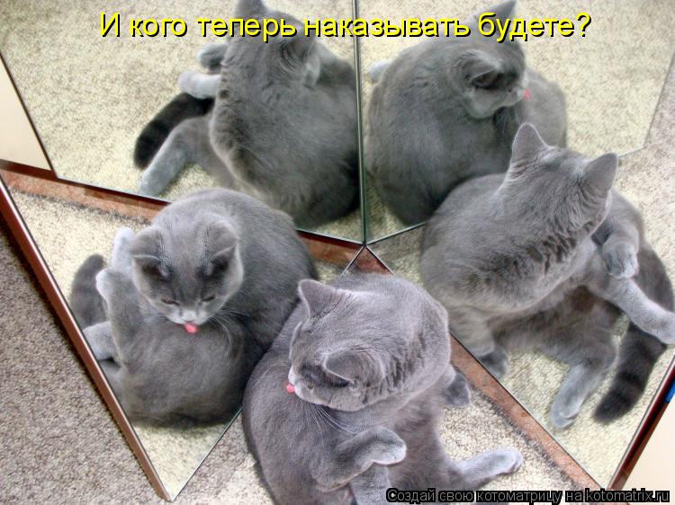 И кого теперь наказывать будете?... Котоматрица: И кого теперь наказывать будете?