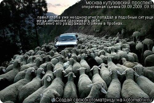 москва.кутузовский проспект. оперативная сьемка 09.09.2009. 09.15 ...павел глоба уже неоднократно поп... Котоматрица: москва.кутузовский проспект. оперативная сьемка 09.09.2009. 09.15 ...павел глоба уже неоднократно попадал в подобные ситуации из-за неумения сдерж
