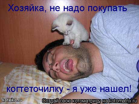 Хозяйка, не надо покупать когтеточилку - я уже нашел!... Котоматрица: Хозяйка, не надо покупать когтеточилку - я уже нашел!