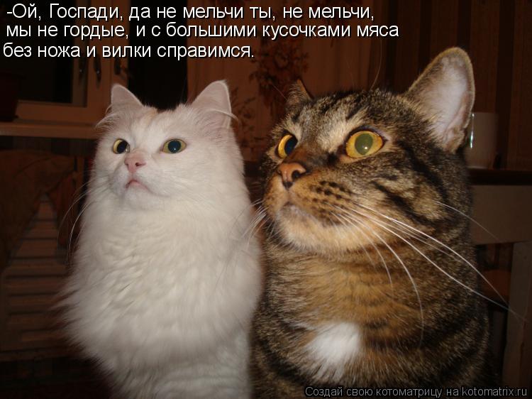 -Ой, Госпади, да не мельчи ты, не мельчи, мы не гордые, и с большими кусочками мяса без ножа и вилк... Котоматрица: -Ой, Госпади, да не мельчи ты, не мельчи, мы не гордые, и с большими кусочками мяса без ножа и вилки справимся.