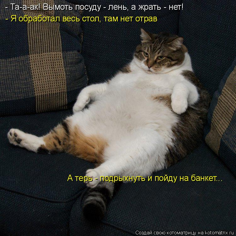 - Та-а-ак! Вымоть посуду - лень, а жрать - нет! - Я обработал весь стол, там нет отрав А терь - подры... Котоматрица: - Та-а-ак! Вымоть посуду - лень, а жрать - нет! - Я обработал весь стол, там нет отрав А терь - подрыхнуть и пойду на банкет...