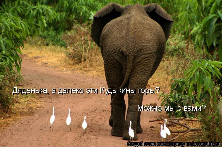 Дяденька, а далеко эти Кудыкины горы? Можно мы с вами?... Котоматрица: Дяденька, а далеко эти Кудыкины горы? Можно мы с вами?