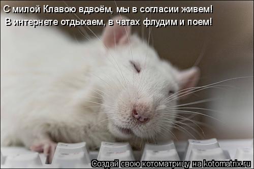В интернете отдыхаем, в чатах флудим и поем! С милой Клавою вдвоём, мы в согласии живем!... Котоматрица: В интернете отдыхаем, в чатах флудим и поем! С милой Клавою вдвоём, мы в согласии живем!