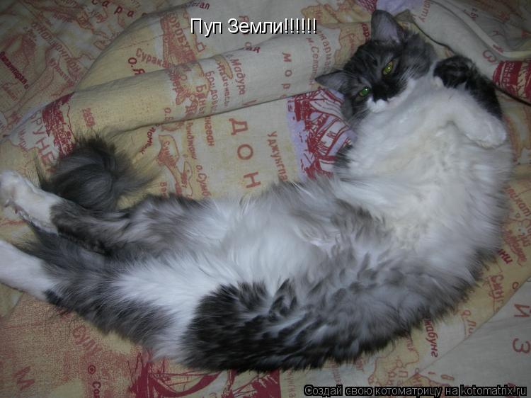 Пуп Земли!!!!!!... Котоматрица: Пуп Земли!!!!!!