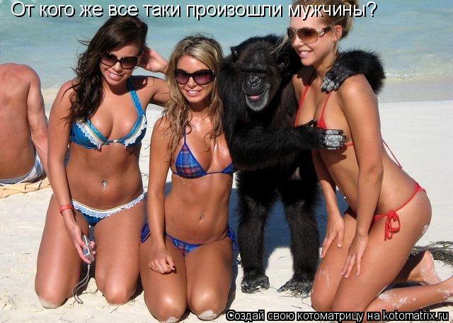 От кого же все таки произошли мужчины?... Котоматрица: От кого же все таки произошли мужчины?