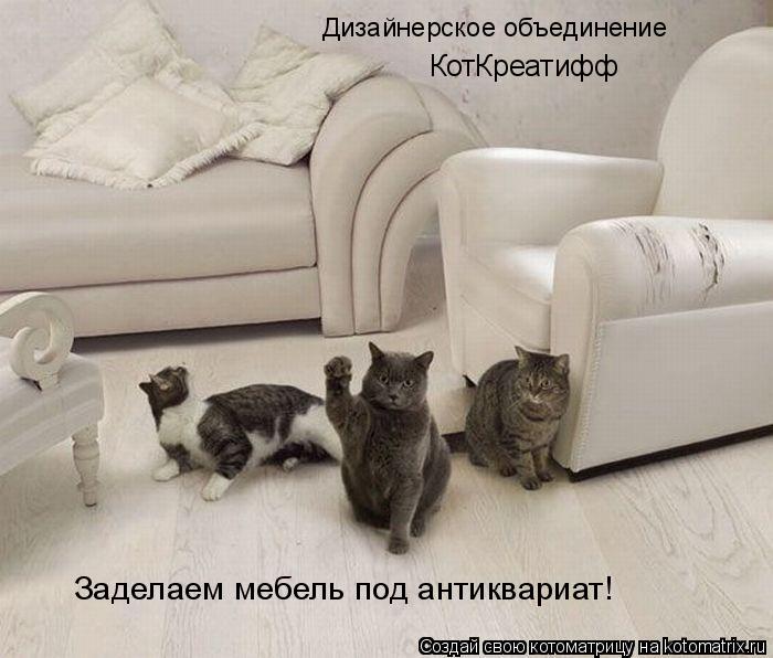 Котоматрица: Дизайнерское объединение «КотКреатифф» Заделаем мебель под антиквариат!