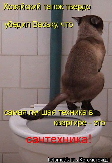 Котоматрица: Хозяйский тапок твердо самая лучшая техника в квартире - это сантехника! убедил Ваську, что