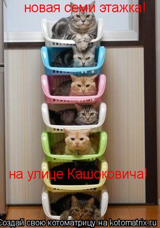 Котоматрица: новая семи этажка! на улице Кашоковича!