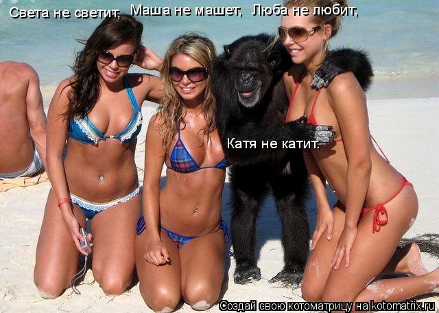 Котоматрица: Света не светит,  Маша не машет,  Люба не любит,  Катя не катит.
