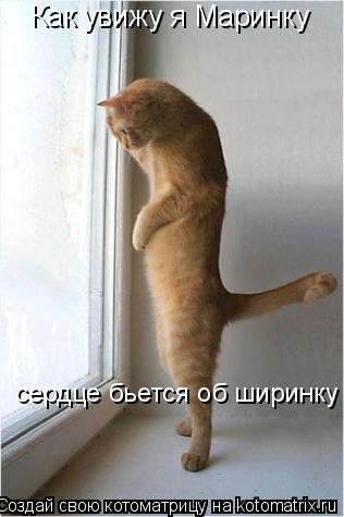 Котоматрица: Как увижу я Маринку  сердце бьется об ширинку