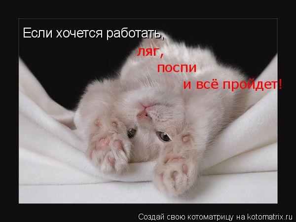 Котоматрица: Если хочется работать,  ляг,  поспи и всё пройдет!