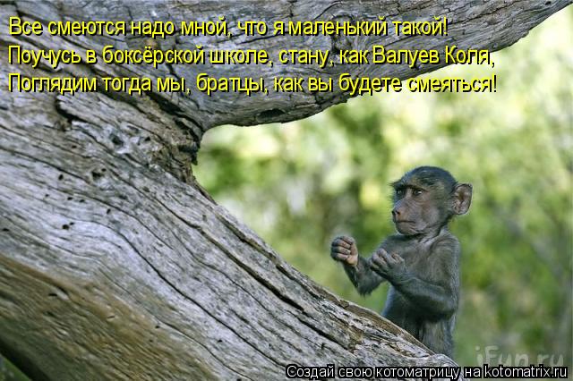 первый день рабочий после отпуска картинки онлайн первый день рабочий после отпуска картинки