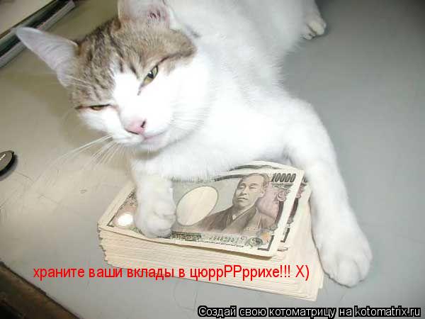храните ваши вклады в цюррРРррихе!!! Х)... Котоматрица: храните ваши вклады в цюррРРррихе!!! Х)