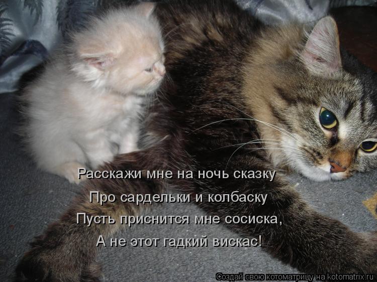 Котоматрица: Расскажи мне на ночь сказку  Про сардельки и колбаску Пусть приснится мне сосиска,  А не этот гадкий вискас!