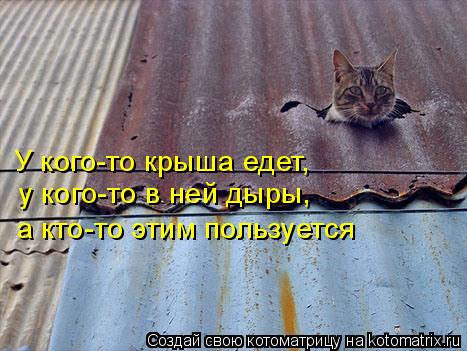 У кого-то крыша едет, у кого-то в ней дыры, а кто-то этим пользуется... Котоматрица: У кого-то крыша едет, у кого-то в ней дыры, а кто-то этим пользуется