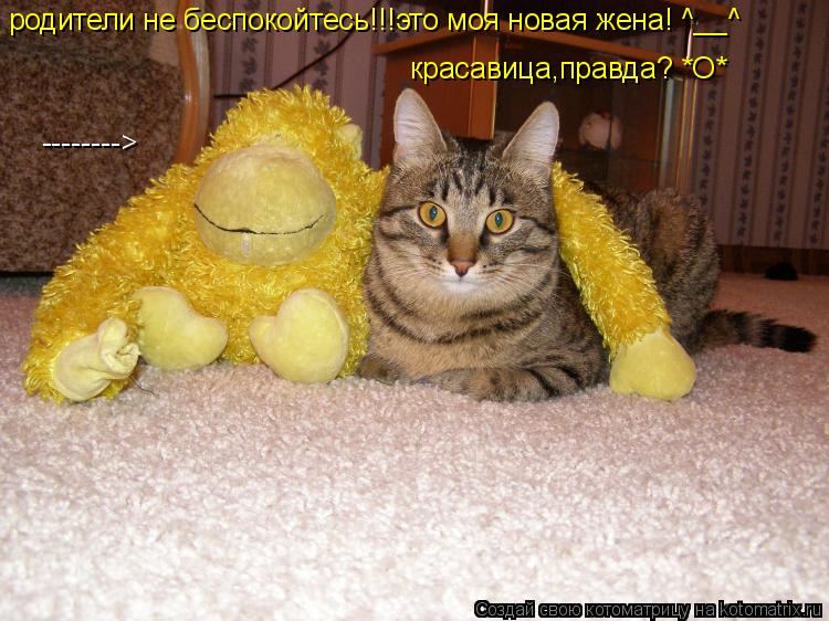 родители не беспокойтесь!!!это моя новая жена! ^__^ --------> красавица,правда? *О*... Котоматрица: родители не беспокойтесь!!!это моя новая жена! ^__^ --------> красавица,правда? *О*