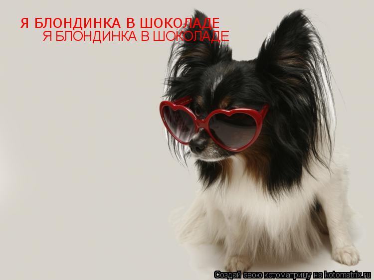 Я БЛОНДИНКА В ШОКОЛАДЕ Я БЛОНДИНКА В ШОКОЛАДЕ... Котоматрица: Я БЛОНДИНКА В ШОКОЛАДЕ Я БЛОНДИНКА В ШОКОЛАДЕ