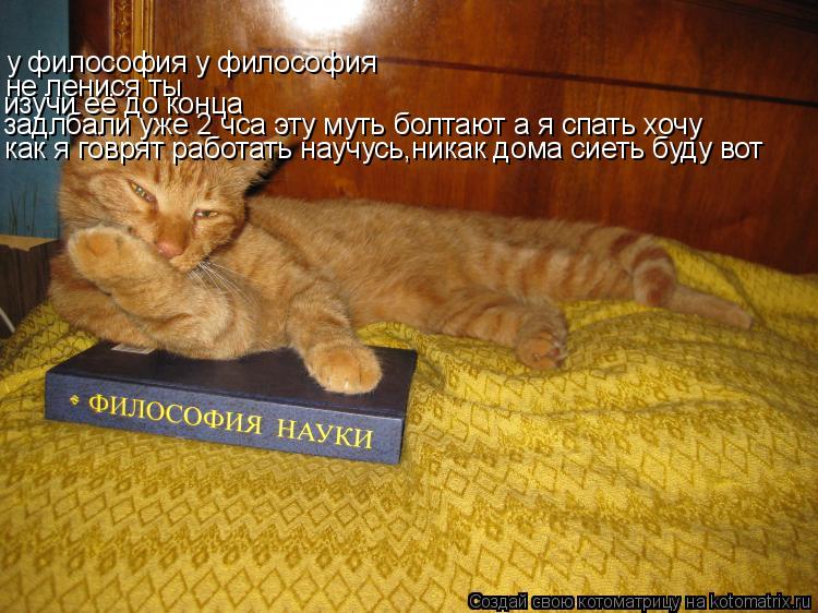у философия у философия не ленися ты изучи её до конца задлбали уже 2 чса эту муть болтают а я спать ... Котоматрица: у философия у философия не ленися ты изучи её до конца задлбали уже 2 чса эту муть болтают а я спать хочу как я говрят работать научусь,никак