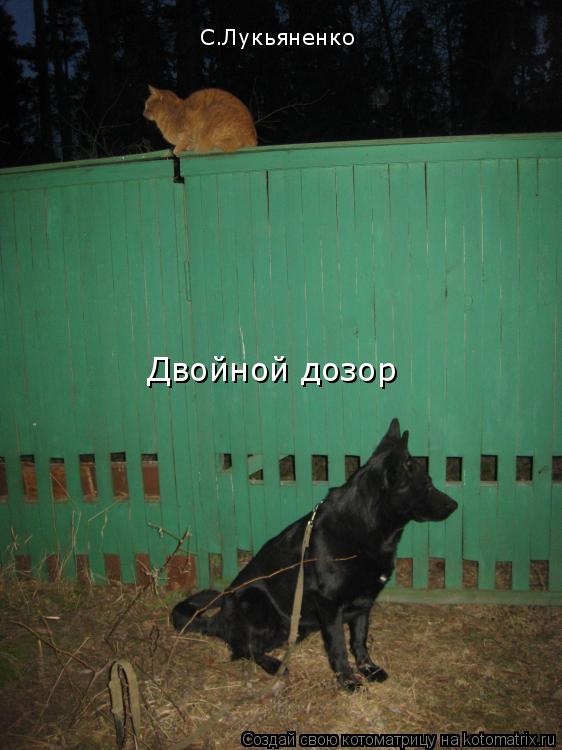 С.Лукьяненко Двойной дозор... Котоматрица: С.Лукьяненко Двойной дозор