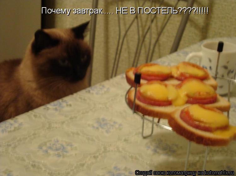 Почему завтрак..... НЕ В ПОСТЕЛЬ????!!!!!... Котоматрица: Почему завтрак..... НЕ В ПОСТЕЛЬ????!!!!!