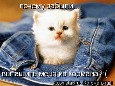почему забыли... выташить меня из кормана?:(... Котоматрица: почему забыли... выташить меня из кормана?:(
