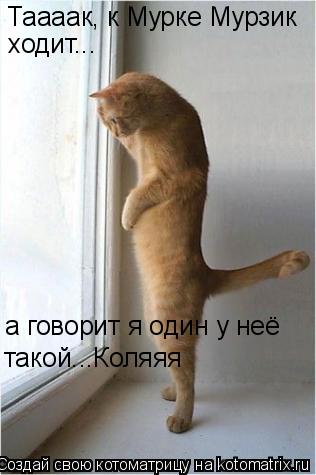 Таааак, к Мурке Мурзик ходит... а говорит я один у неё такой...Коляяя... Котоматрица: Таааак, к Мурке Мурзик ходит... а говорит я один у неё такой...Коляяя