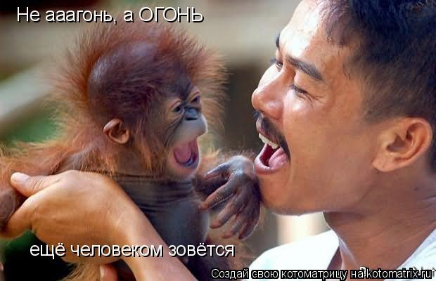 Не ааагонь, а ОГОНЬ ещё человеком зовётся... Котоматрица: Не ааагонь, а ОГОНЬ ещё человеком зовётся