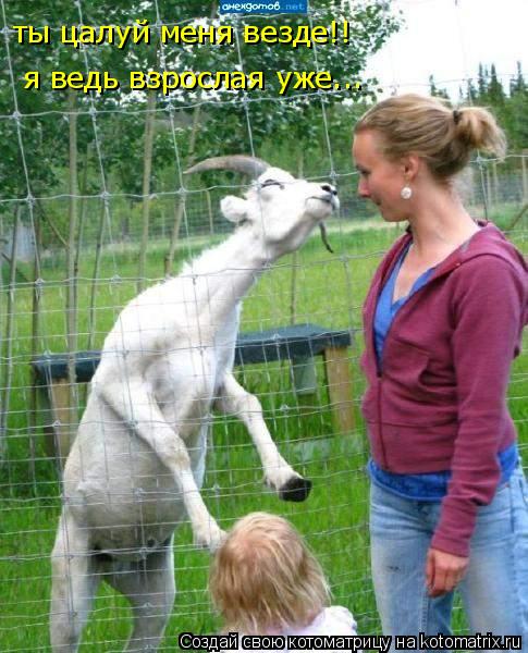 ты цалуй меня везде!! я ведь взрослая уже...... Котоматрица: ты цалуй меня везде!! я ведь взрослая уже...