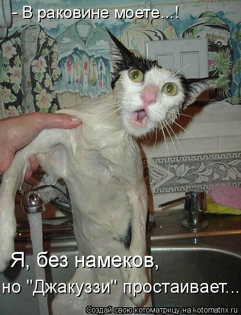 - В раковине моете...! Я, без намеков, но "Джакуззи" простаивает...... Котоматрица: - В раковине моете...! Я, без намеков, но "Джакуззи" простаивает...