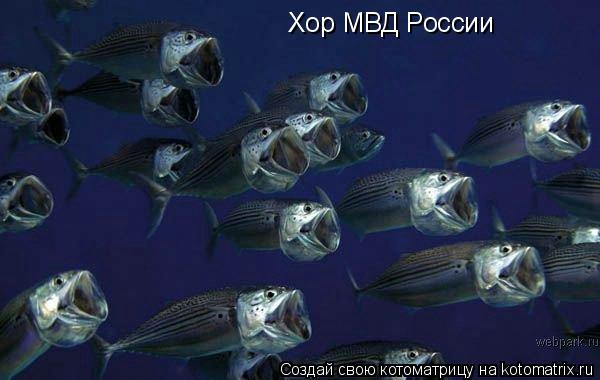 Хор МВД России... Котоматрица: Хор МВД России