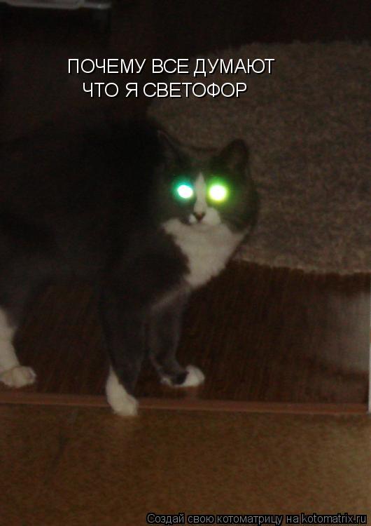 ПОЧЕМУ ВСЕ ДУМАЮТ ЧТО Я СВЕТОФОР... Котоматрица: ПОЧЕМУ ВСЕ ДУМАЮТ ЧТО Я СВЕТОФОР