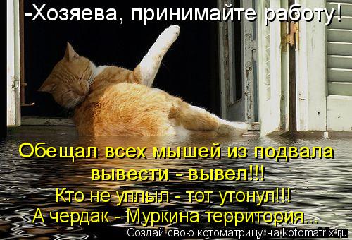 Котоматрица: Обещал всех мышей из подвала вывести - вывел!!! Кто не уплыл - тот утонул!!! А чердак - Муркина территория... -Хозяева, принимайте работу!