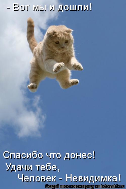 - Вот мы и дошли! Спасибо что донес! Удачи тебе, Человек - Невидимка!... Котоматрица: - Вот мы и дошли! Спасибо что донес! Удачи тебе, Человек - Невидимка!