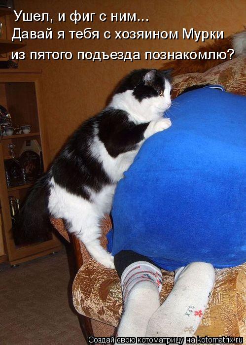 Котоматрица: Ушел, и фиг с ним... Давай я тебя с хозяином Мурки из пятого подъезда познакомлю?