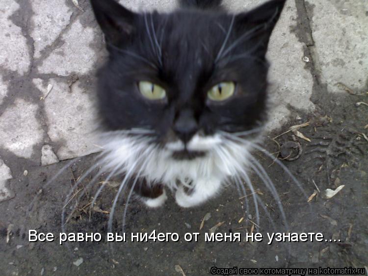 Все равно вы ни4его от меня не узнаете....... Котоматрица: Все равно вы ни4его от меня не узнаете....