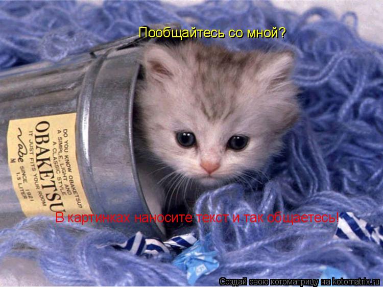 Пообщайтесь со мной? В картинках наносите текст и так общаетесь!... Котоматрица: Пообщайтесь со мной? В картинках наносите текст и так общаетесь!