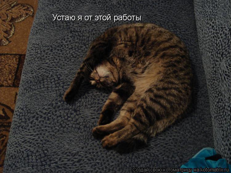 Устаю я от этой работы... Котоматрица: Устаю я от этой работы