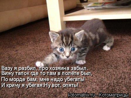 Вижу тапок где то там в полёте был, По морде бам, мне надо убегать! Вазу я разбил, про хозяина забыл.... Котоматрица: Вижу тапок где то там в полёте был, По морде бам, мне надо убегать! Вазу я разбил, про хозяина забыл. И кричу я убегая:Ну вот, опять!