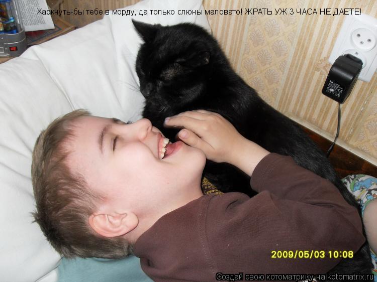 Харкнуть-бы тебе в морду, да только слюны маловато! ЖРАТЬ УЖ 3 ЧАСА НЕ ДАЕТЕ!... Котоматрица: Харкнуть-бы тебе в морду, да только слюны маловато! ЖРАТЬ УЖ 3 ЧАСА НЕ ДАЕТЕ!