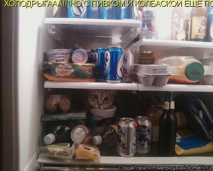 ХОЛОДРЫГААА!!!НО С ПИВКОМ И КОЛБАСКОЙ ЕЩЕ ПОЖИВЕМ!!!... Котоматрица: ХОЛОДРЫГААА!!!НО С ПИВКОМ И КОЛБАСКОЙ ЕЩЕ ПОЖИВЕМ!!!