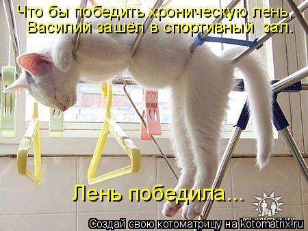 Что бы победить хроническую лень, Василий зашёл в спортивный зал. Лень победила...... Котоматрица: Что бы победить хроническую лень, Василий зашёл в спортивный зал. Лень победила...