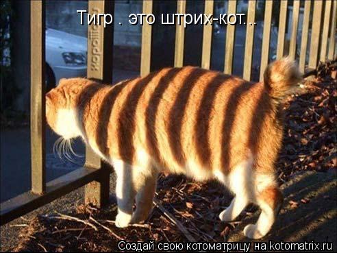 Тигр – это штрих-кот...... Котоматрица: Тигр – это штрих-кот...