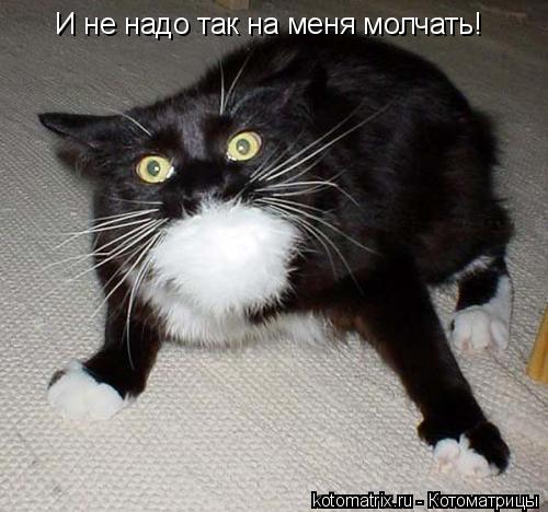 И не надо так на меня молчать!... Котоматрица: И не надо так на меня молчать!