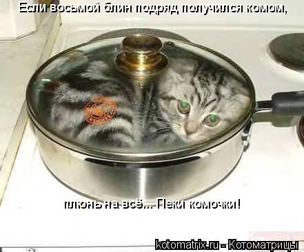 Если восьмой блин подряд получился комом, плюнь на всё... Пеки комочки!... Котоматрица: Если восьмой блин подряд получился комом, плюнь на всё... Пеки комочки!