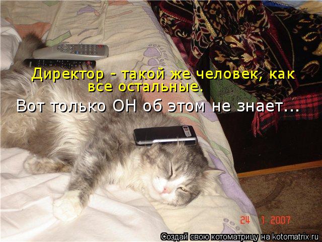 Директор - такой же человек, как все остальные. Вот только ОН об этом не знает...... Котоматрица: Директор - такой же человек, как все остальные. Вот только ОН об этом не знает...